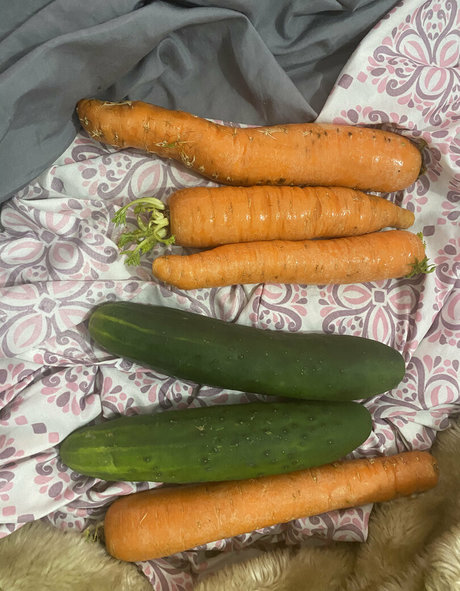 junebug3333 top model pics