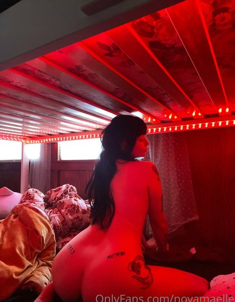 Nova Maelle top model image