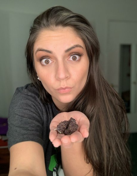 Dizzy Dazzle free star galleries