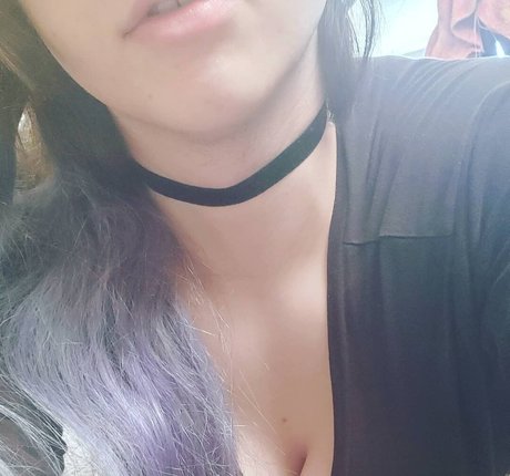 Annonalfa star free pictures