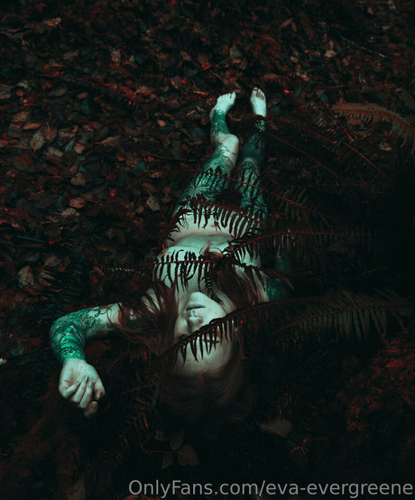 eva evergreene best star photos