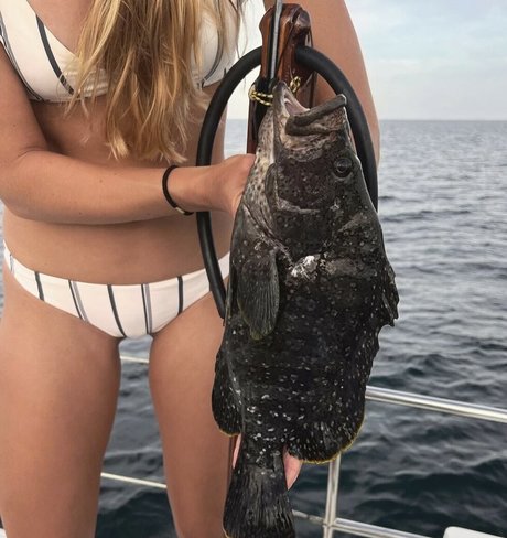 Kelly Young erotic model gallery