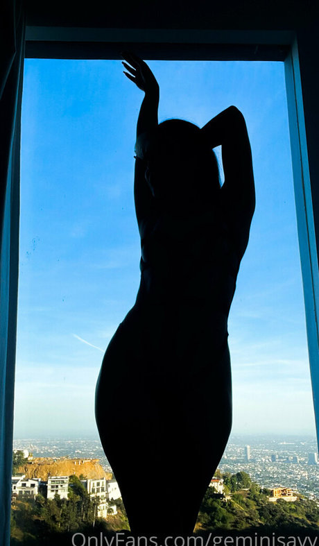 Geminisavy model top img