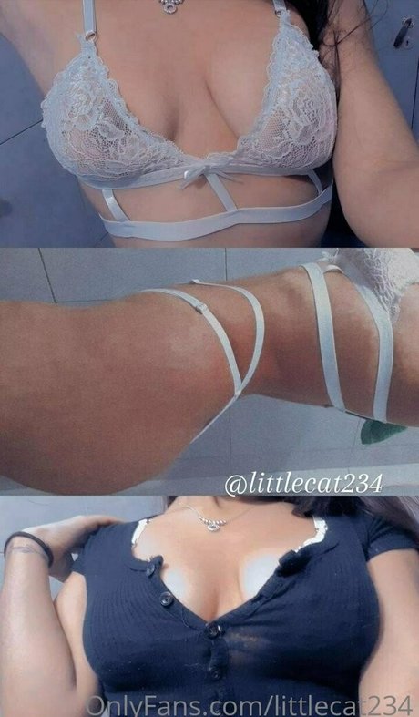 littlecat234 adult star pic