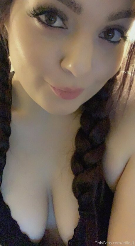 eille 1 star art pic