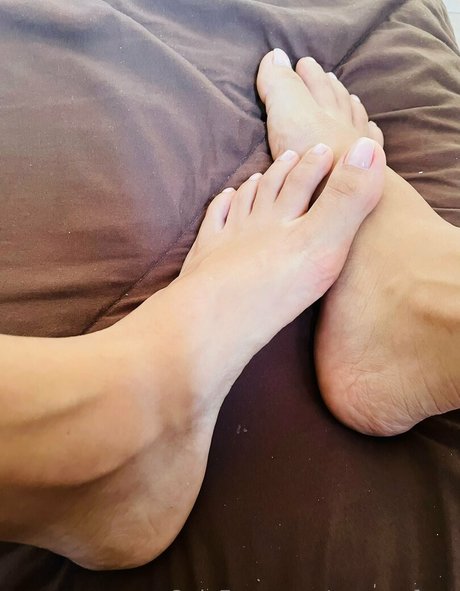 vanneyfans art star gallery