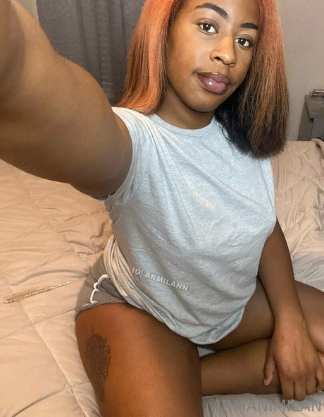 armilann art star archive