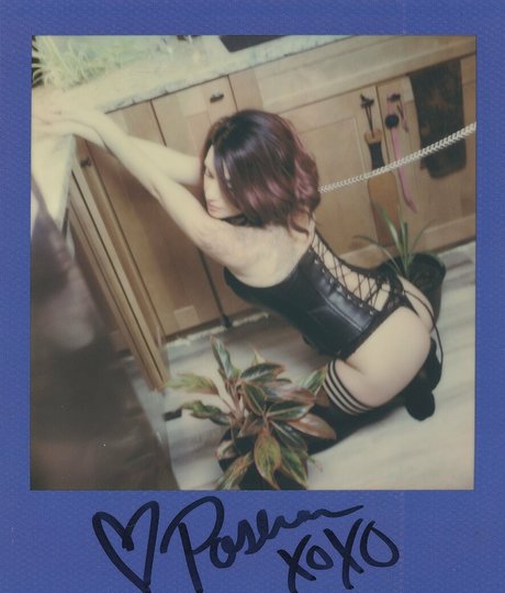 pashavixen sex model images