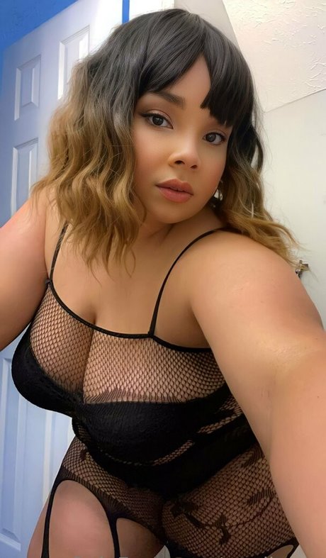 cardisego exclusive star archive