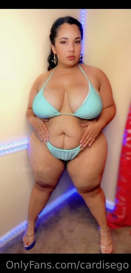 cardisego model top photo