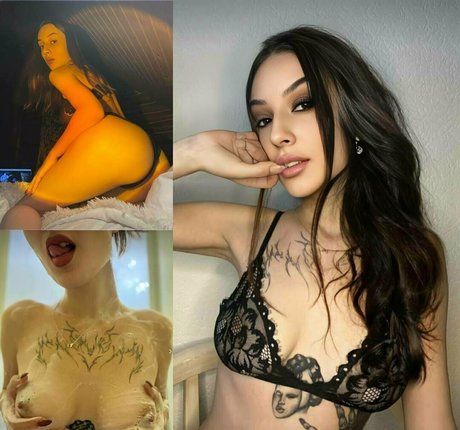 divadi high quality model archive