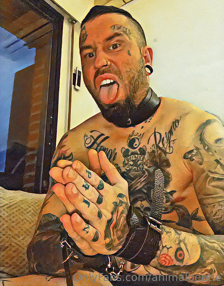 animalbeetle pornstar sex img