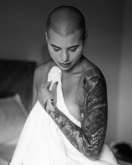 steves end pornstar perfect img