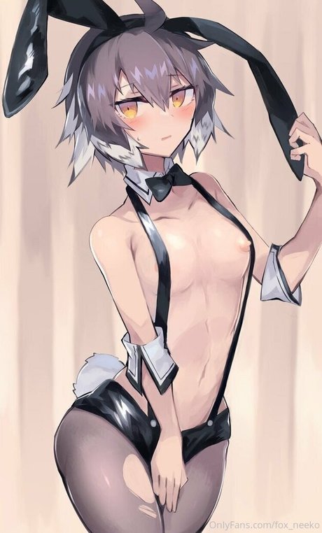 fox neko star hd photos