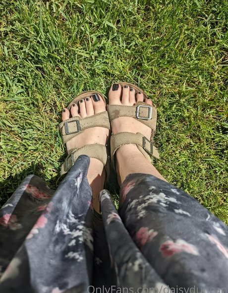 daisyduncan star free archive