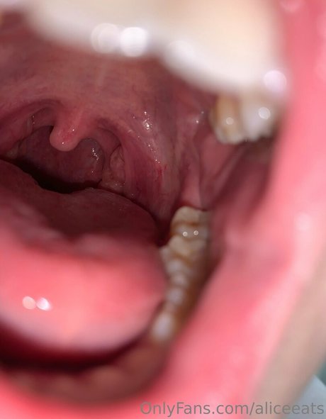 aliceeats pornstar art pics