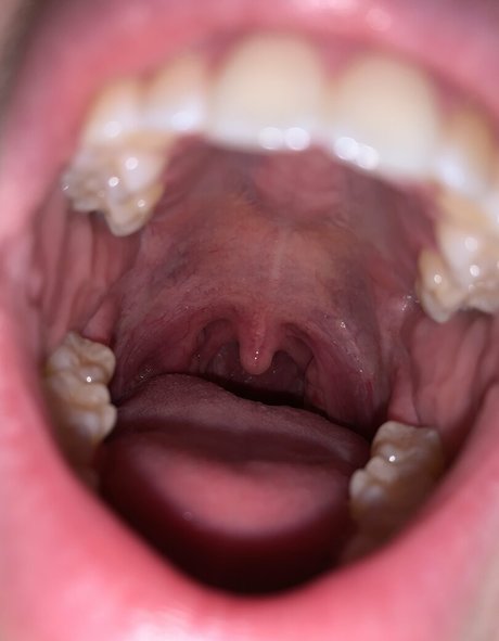 aliceeats porn actress archive