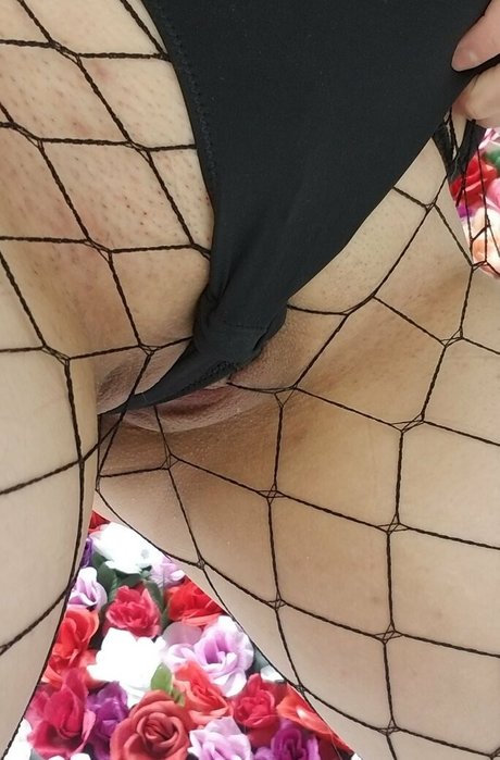 raina traina beautiful star archive