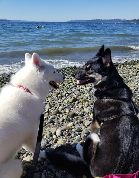 raina traina pornstar gallery