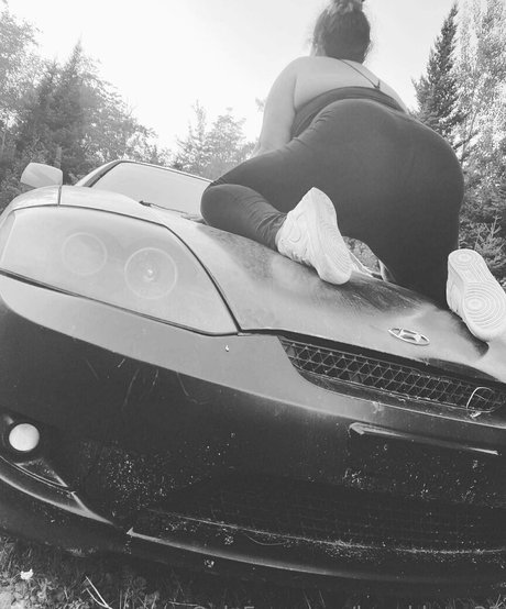 breahbear33 sex star img