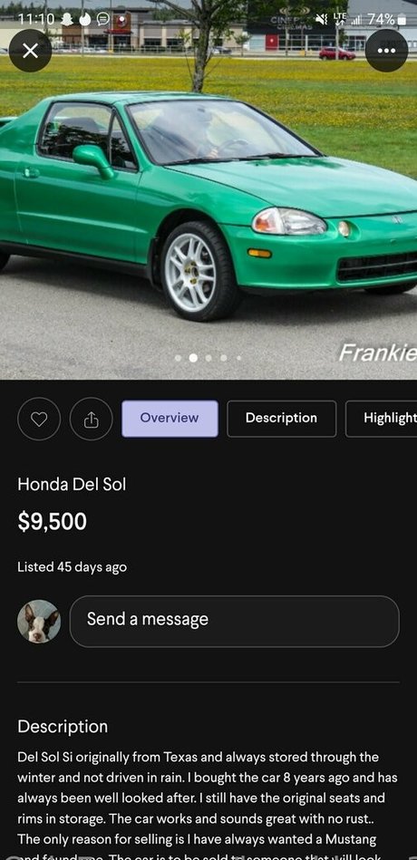 breahbear33 pornstar adult image