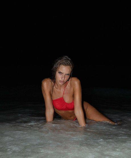 Neta Alchimister model free archive