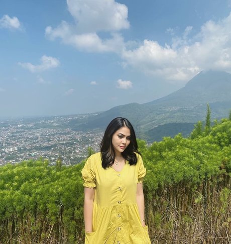 Djbutterfly36 star high quality images