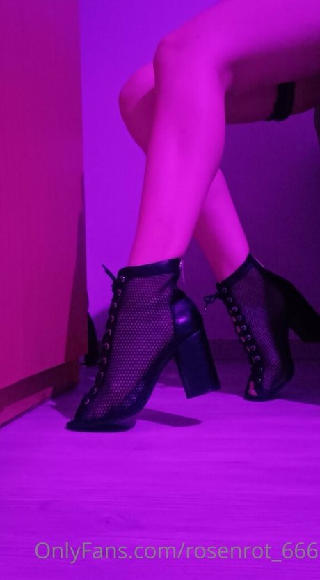 rosenrot 666 Profile pic