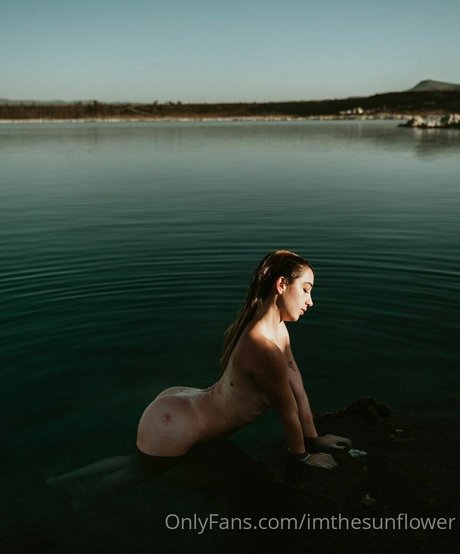 imthesunflower nudes pornstar picture