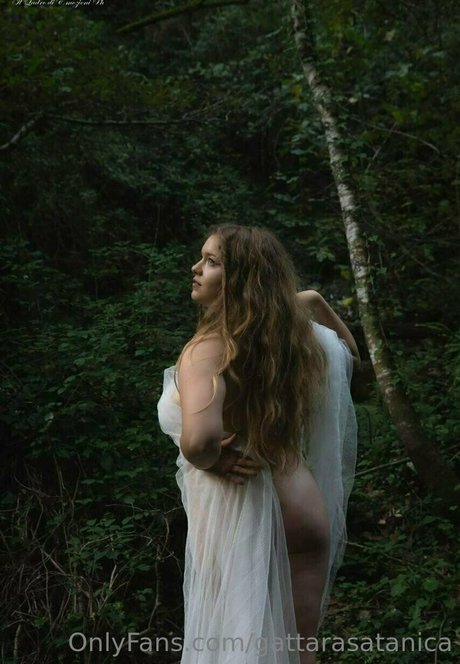 gattarasatanica model free img