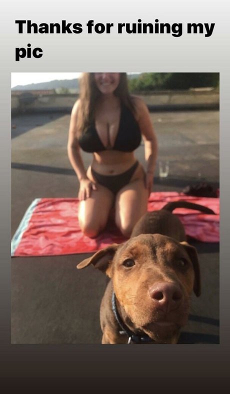 Tiffany Harrison model free image