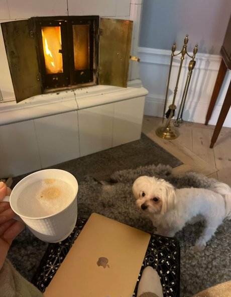 wilda se top model img