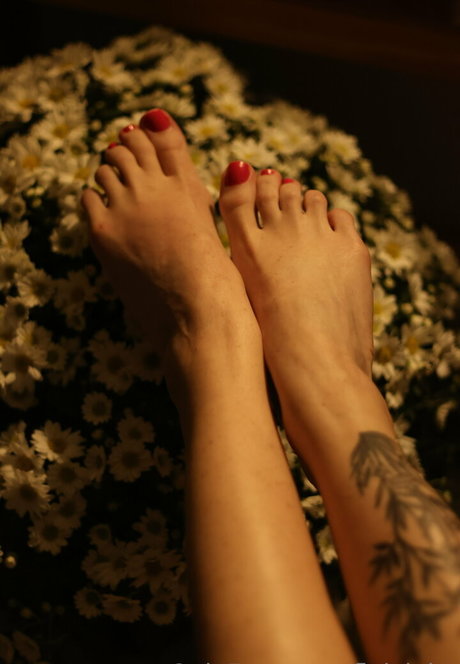 fleivinha high quality pornstar archive