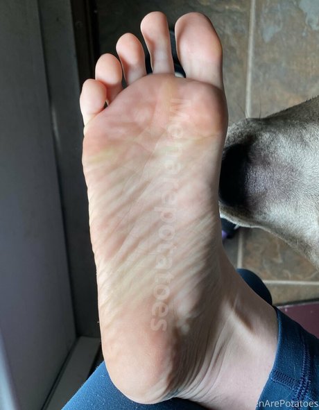 menarepotatoes art model photos