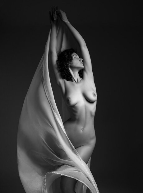 Tim Redu pornstar xxx archive