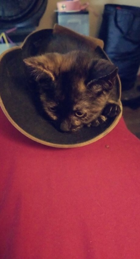 missmelonee pretty star photo