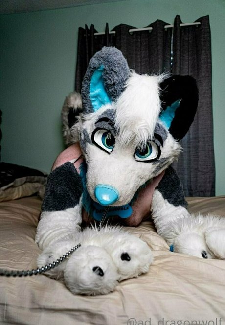 ad dragonwolf pornstar best photos