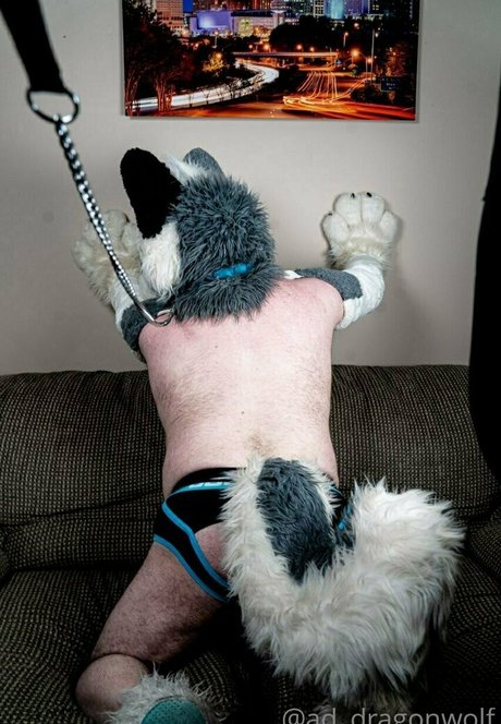 ad dragonwolf top model pics