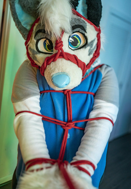 ad dragonwolf model perfect images