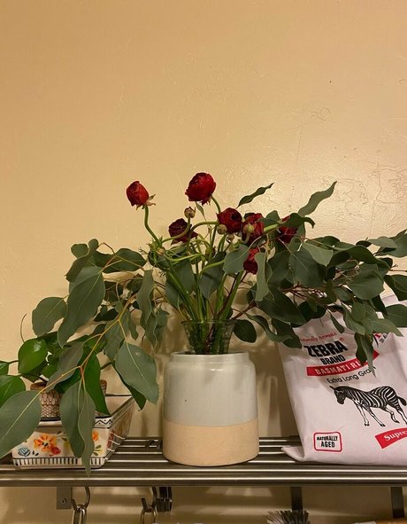 powerfulclit exclusive model images