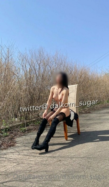 Dalkom sugar model art archive