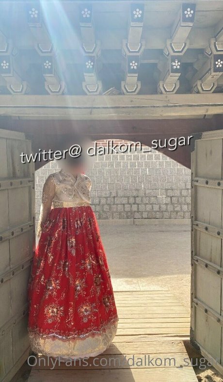 Dalkom sugar star nudes image