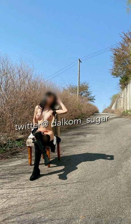 Dalkom sugar best pornstar img