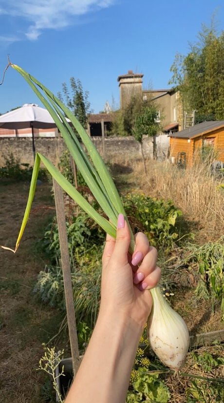 Blondedouce exclusive model photo