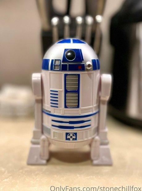 stonechillfox xxx star photos