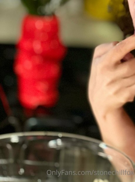 stonechillfox hd model picture