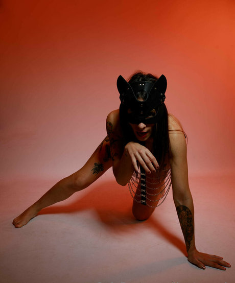 jinetamaria star best pictures