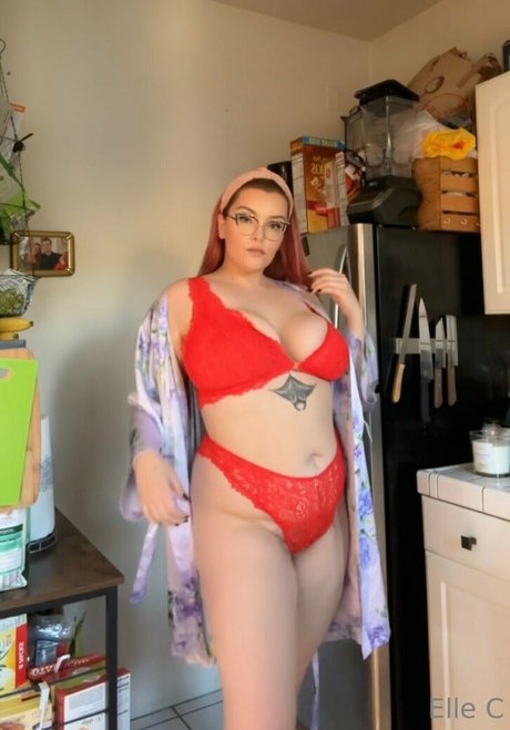 ellecroc high quality star images