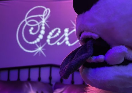 emmawerewuff erotic pornstar photo