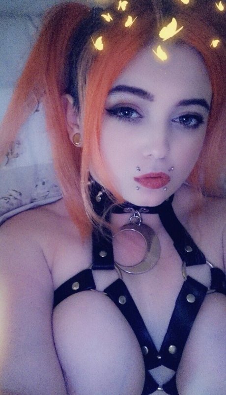 Rising Phoenix high quality model picture